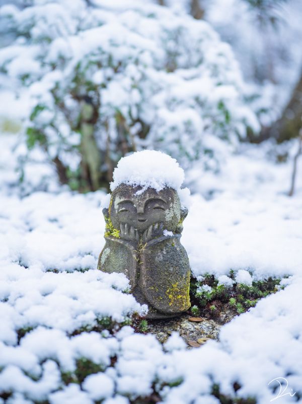 Đền Thần đạo mùa đông